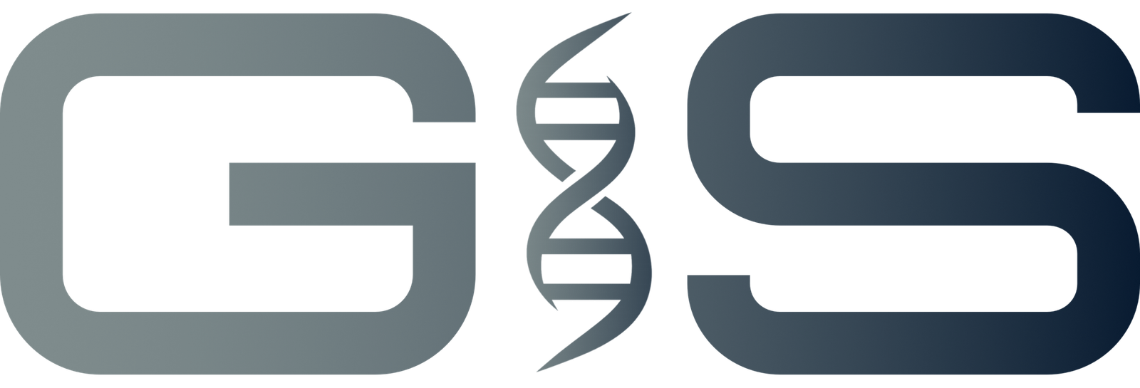 dark g&s letters final